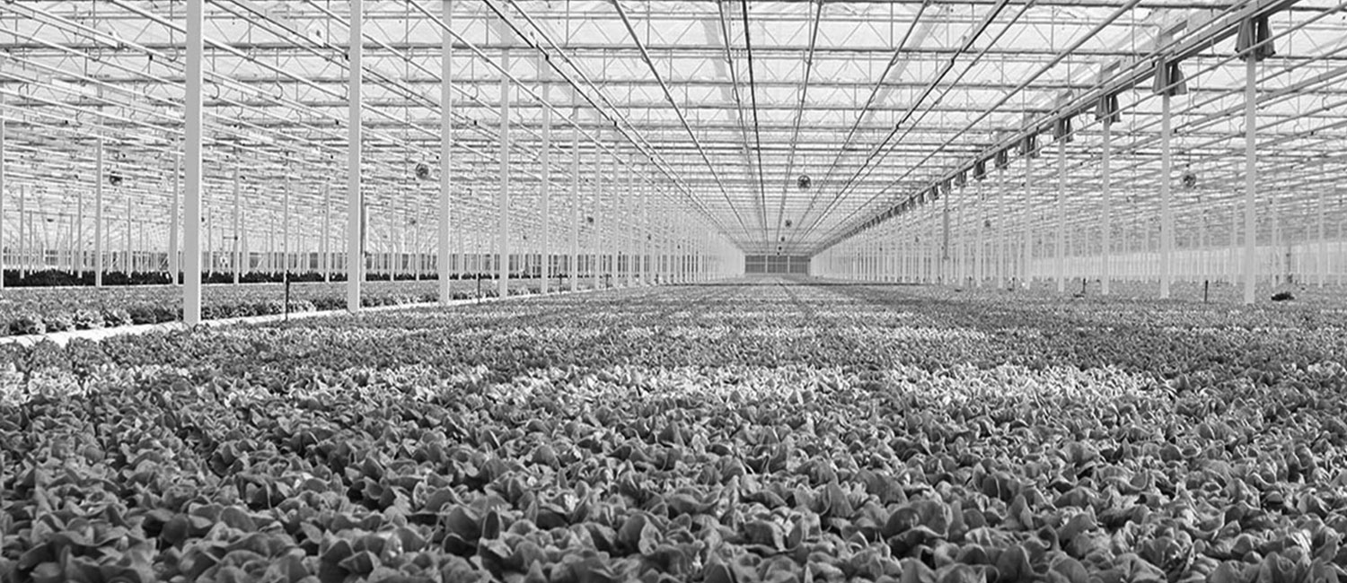 Pennsylvania Farm Insurance Coverage